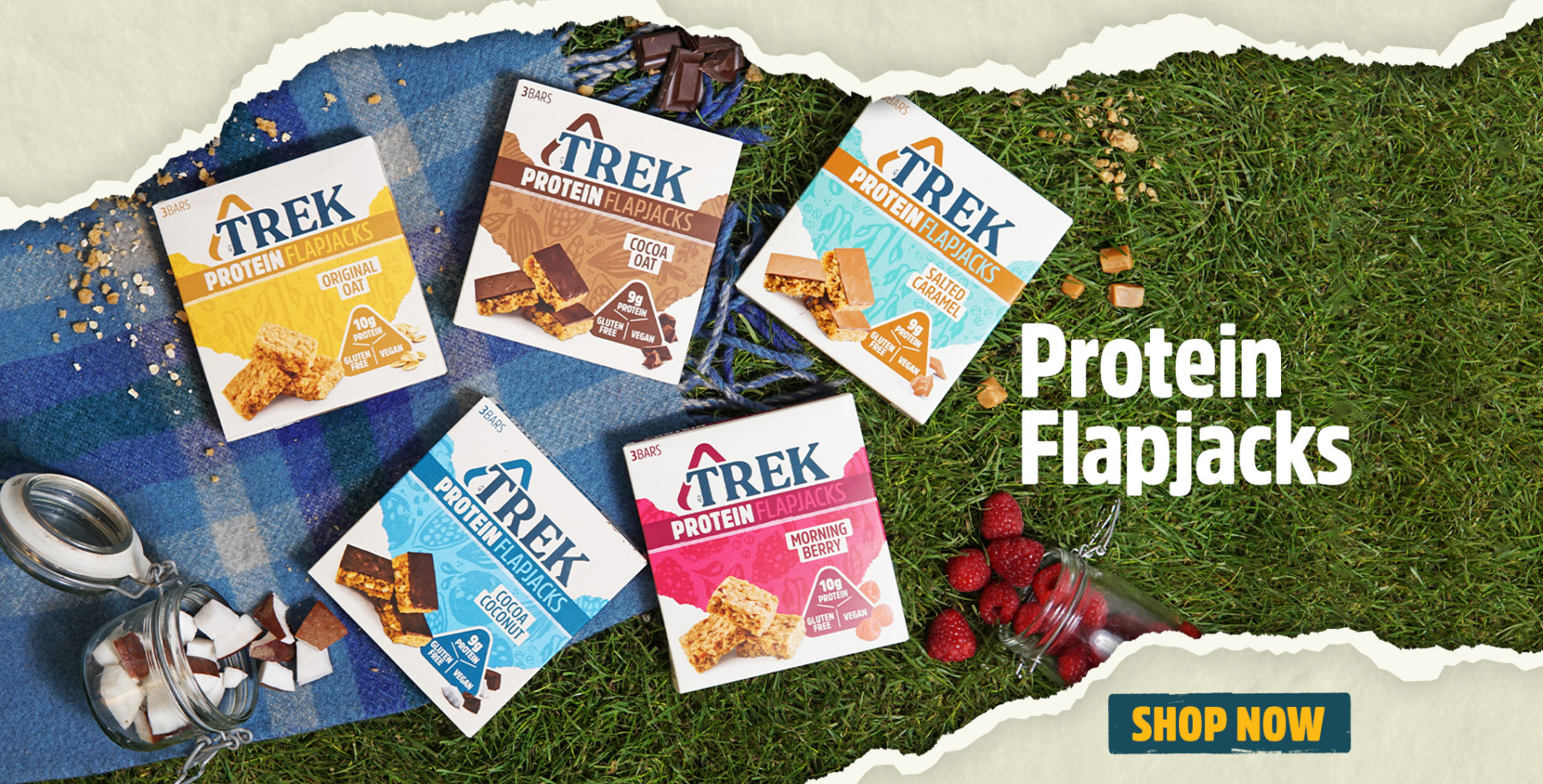 TREK Bars Keeps You Going Vegan & Gluten Free Protein Bars